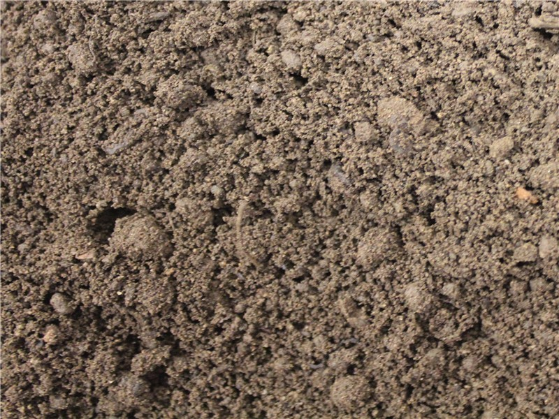 Top soil, topsoil, loam, dirt, quality